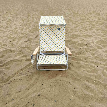 Snow Joe Bliss Hammocks Folding Beach Chair W Canopy BBC-351-PIN
